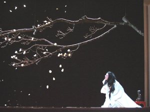 Cedolins - Liceu 2006 -FOTO BOFILL