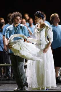 Kaufmann, Harteros i el cigne