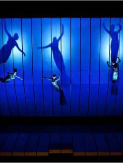 Das Rheingold (MET 2010-2011)