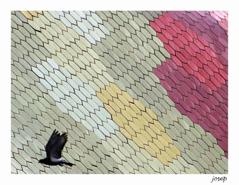 Pista d'aterratge (mercat de Santa Catalina) Foto Josep Colet Les meves Barcelones.